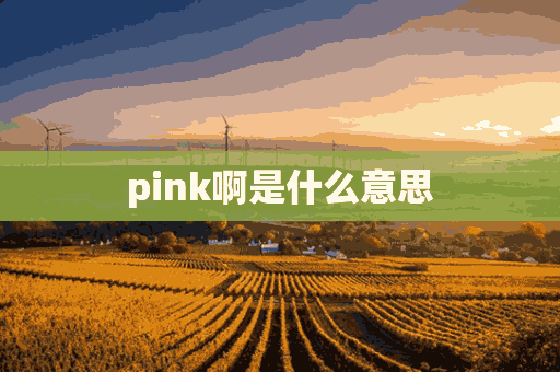 pink啊是什么意思(pink什么意思哦)